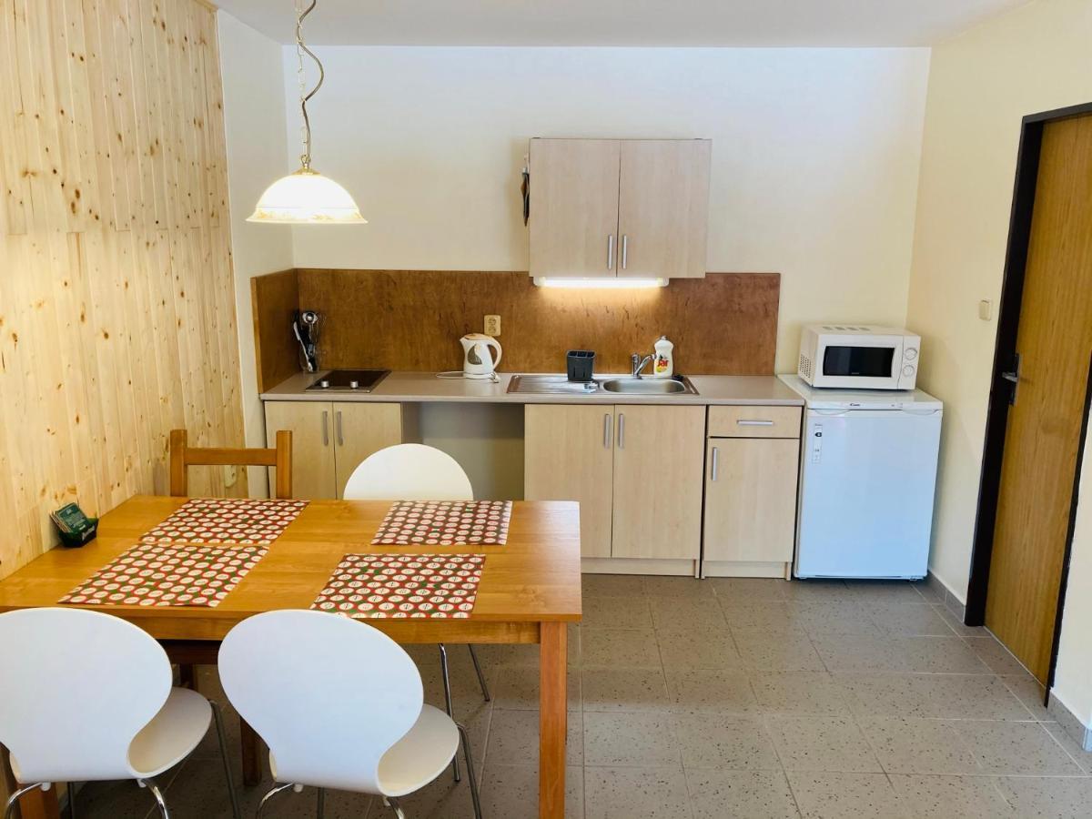 Studia Pod Lysou Apartamento Rokytnice nad Jizerou Exterior foto