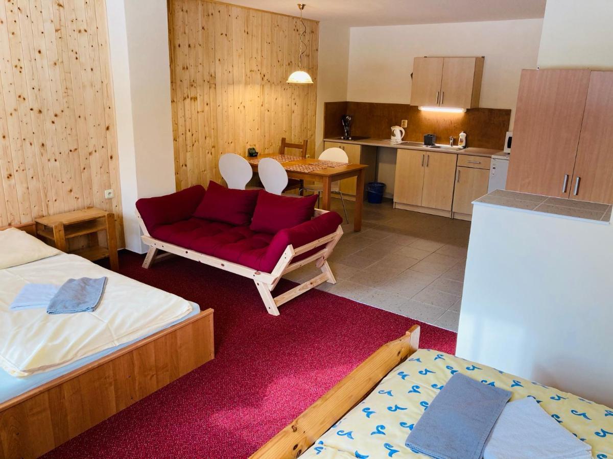 Studia Pod Lysou Apartamento Rokytnice nad Jizerou Exterior foto