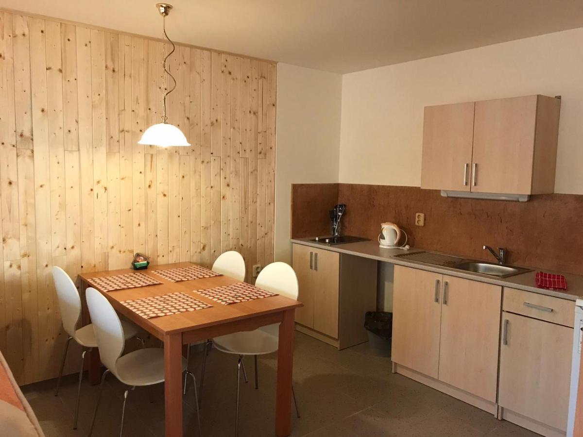 Studia Pod Lysou Apartamento Rokytnice nad Jizerou Exterior foto