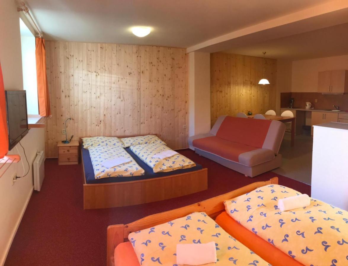 Studia Pod Lysou Apartamento Rokytnice nad Jizerou Exterior foto