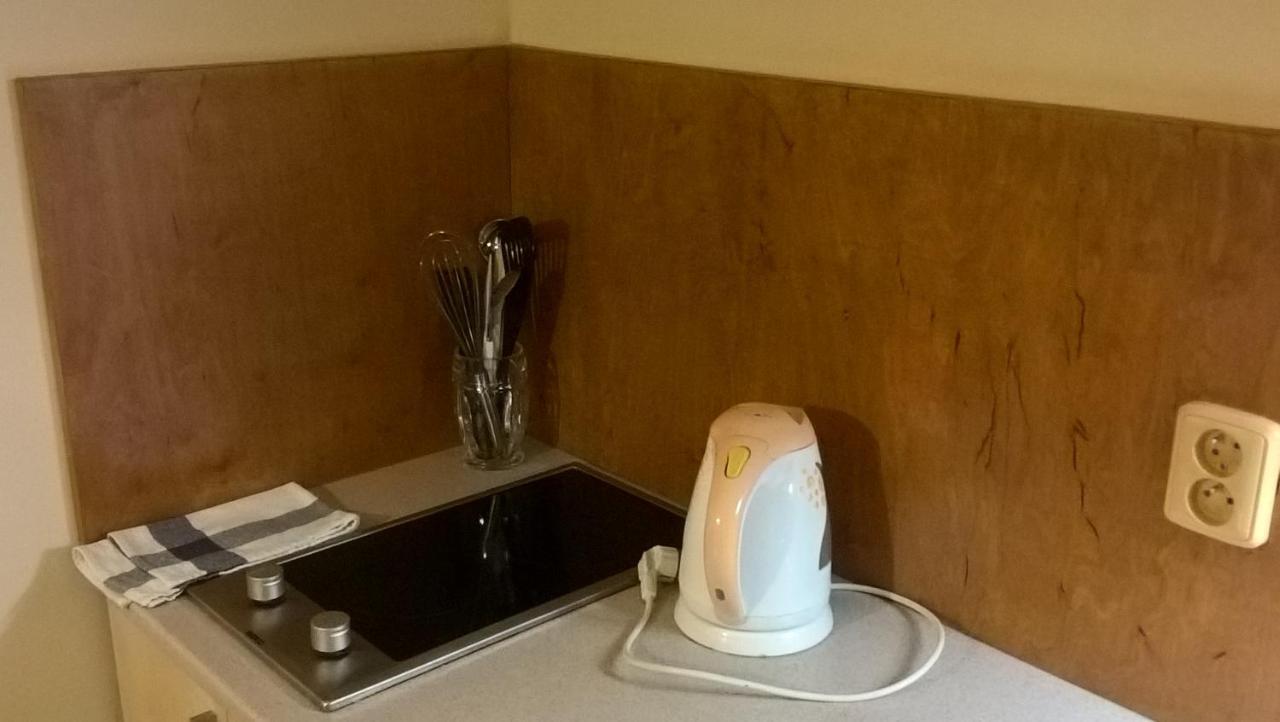 Studia Pod Lysou Apartamento Rokytnice nad Jizerou Exterior foto